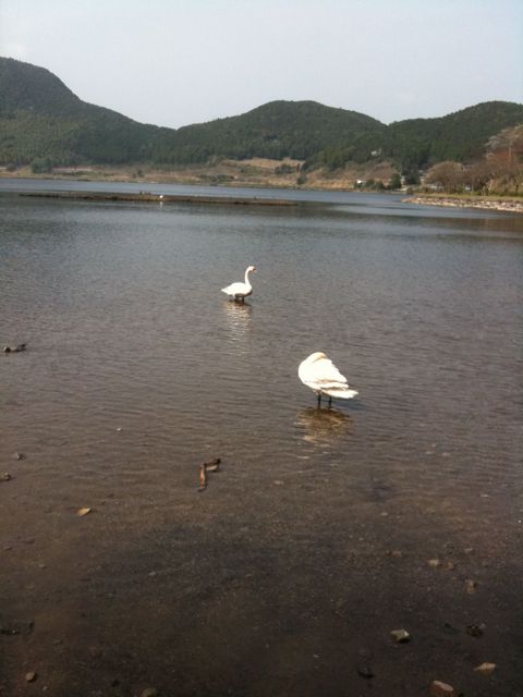 キャンプ