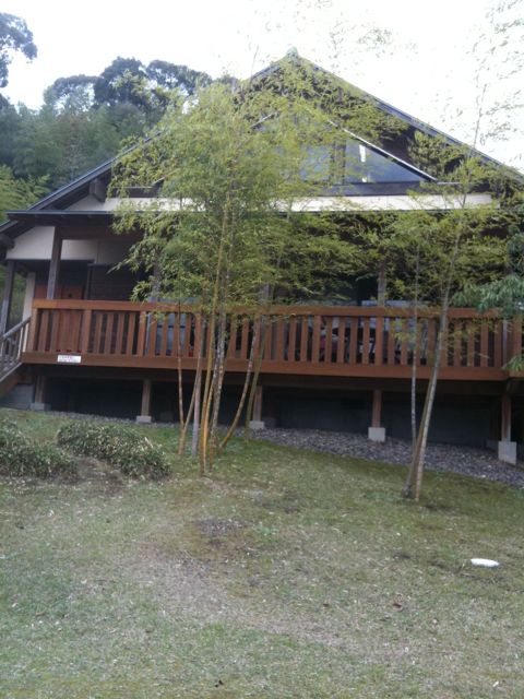 キャンプ