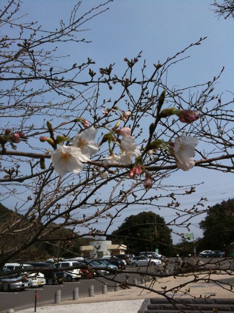 キャンプ