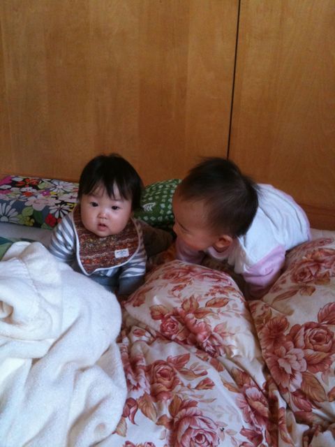 キャンプ